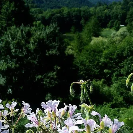 Pliva Lake House